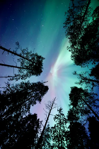 Magische Polarlichter - Norwegen und Finnland 2027/2028