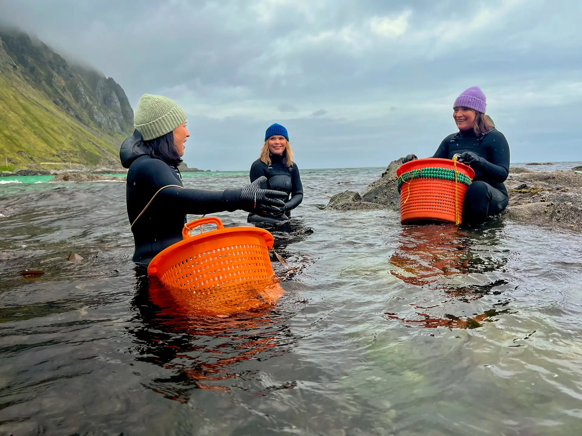 Lorraine Kelly harvesting seaweed in Lofoten, Norway while filming Lorraine Kelly's Norwegian Odyssey