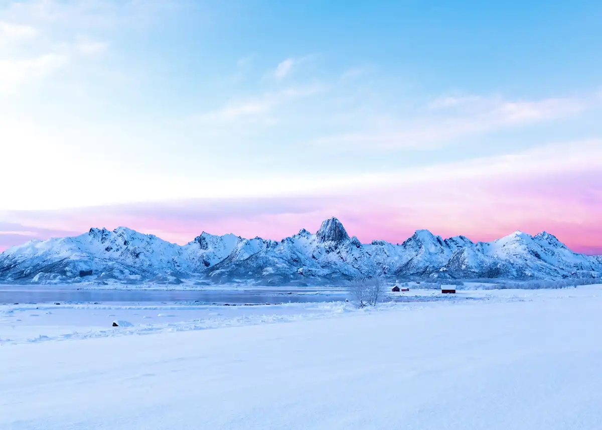 Vesterålen, Norway | Arctic Wildlife & Coastal Adventures | Hurtigruten