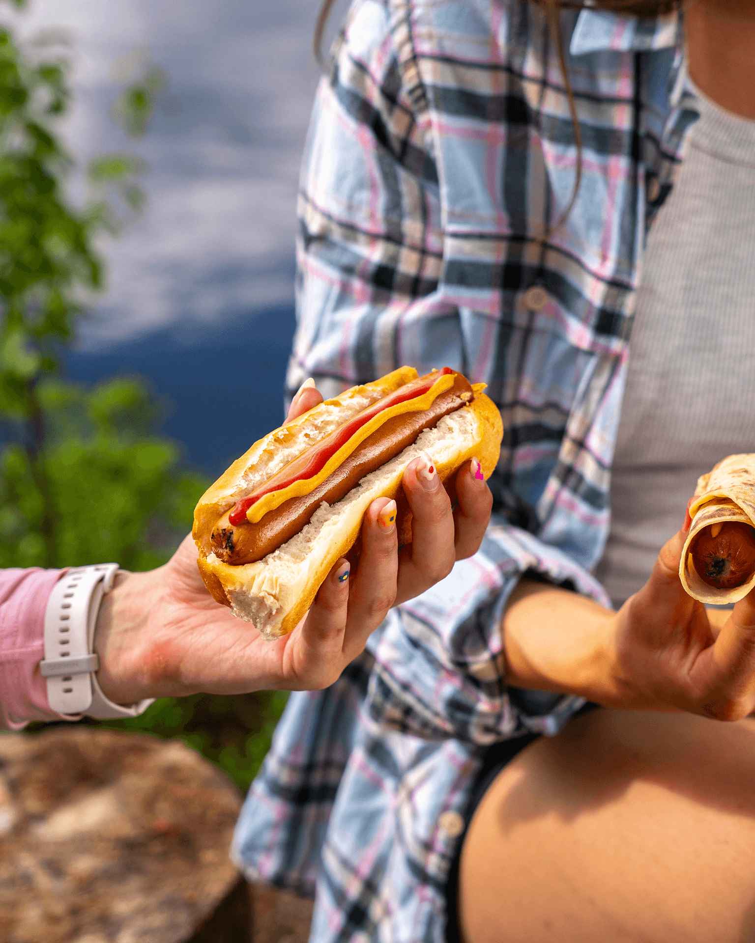 hot-dog-Fredrik Ahlsen Visit Norway