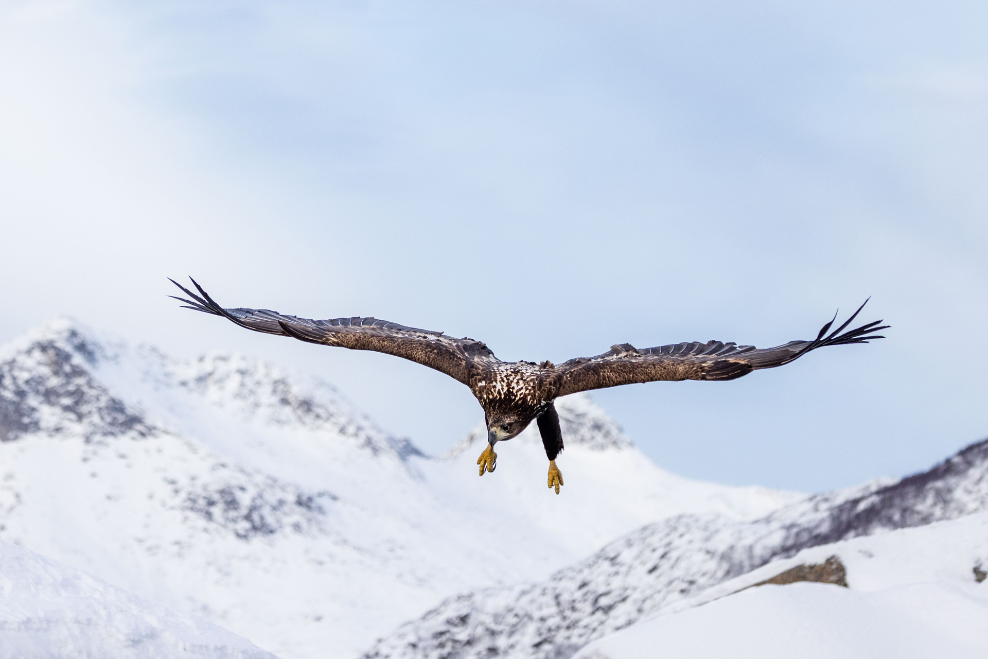 260225-105718-Svolvaer-M-Afflerbach-3x2