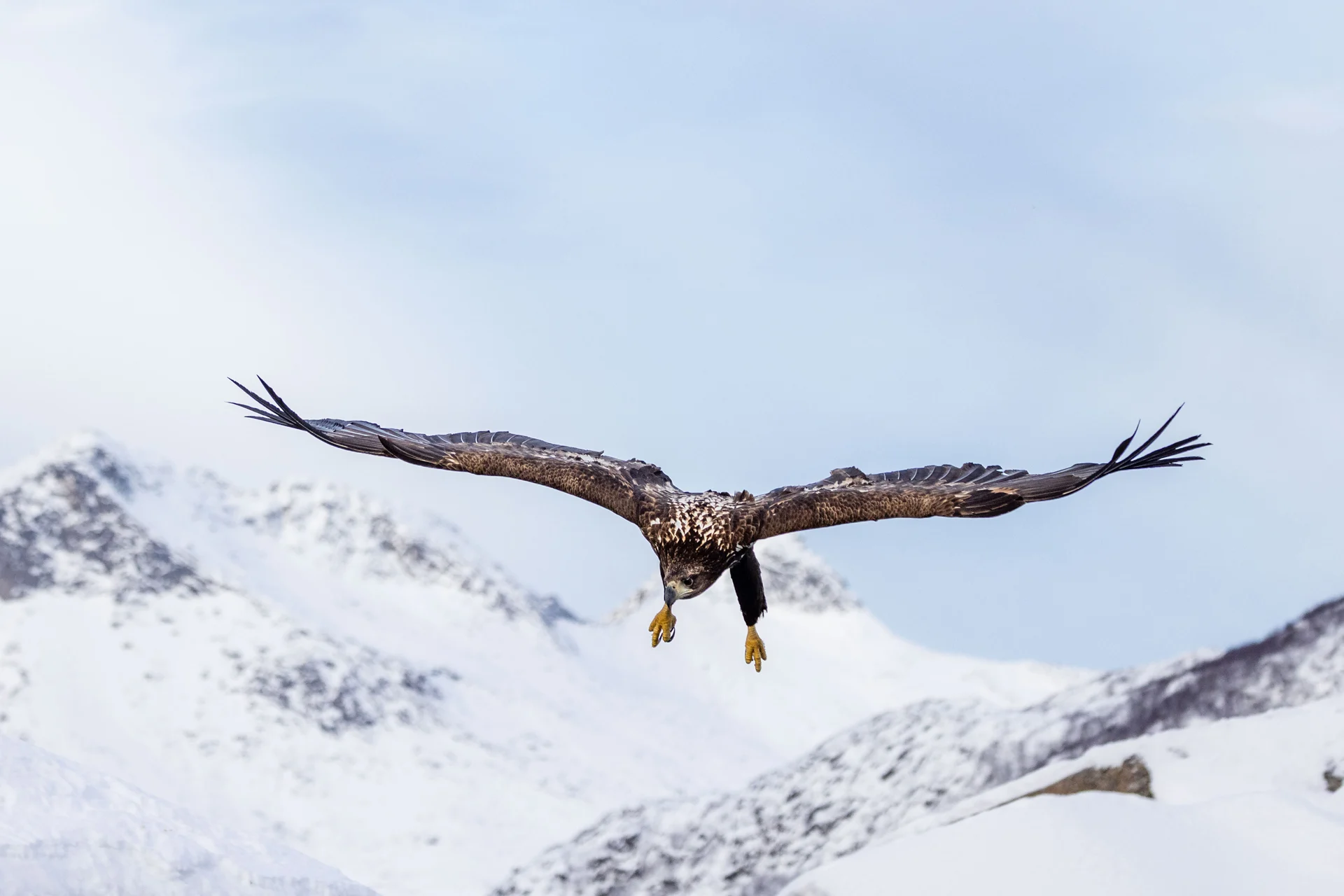 260225-105718-Svolvaer-M-Afflerbach-3x2