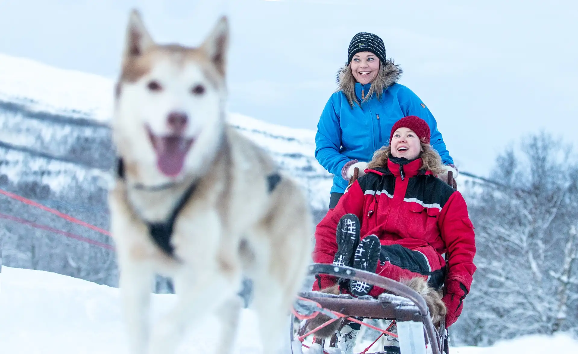 dog-sledding-snow-trees-husky-people-smiling-michael-ulriksen