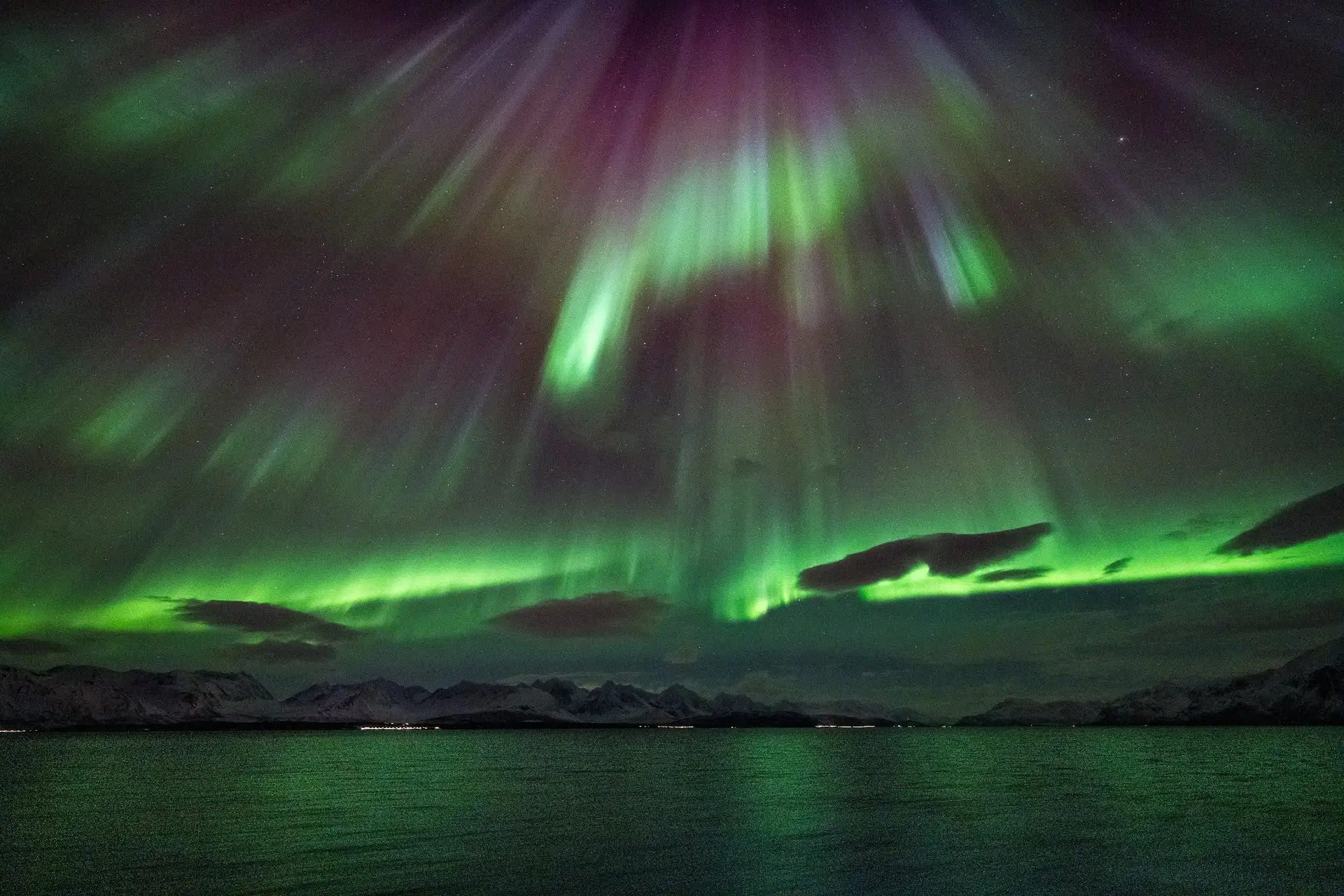 Northern Light near Øxfjord MS Richard With Bernd Thaller Feb 26 2025 1920 CAMERALLA