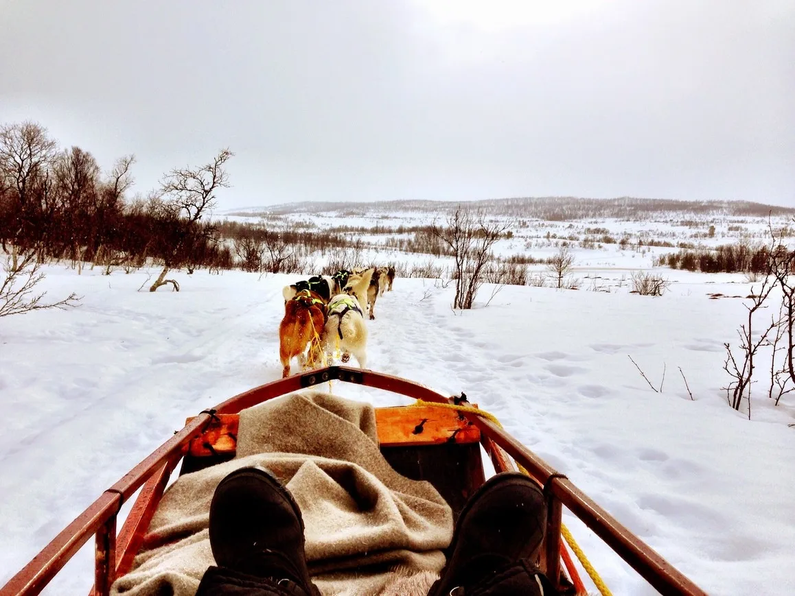 dog_sledging_tamara-van-hasselt