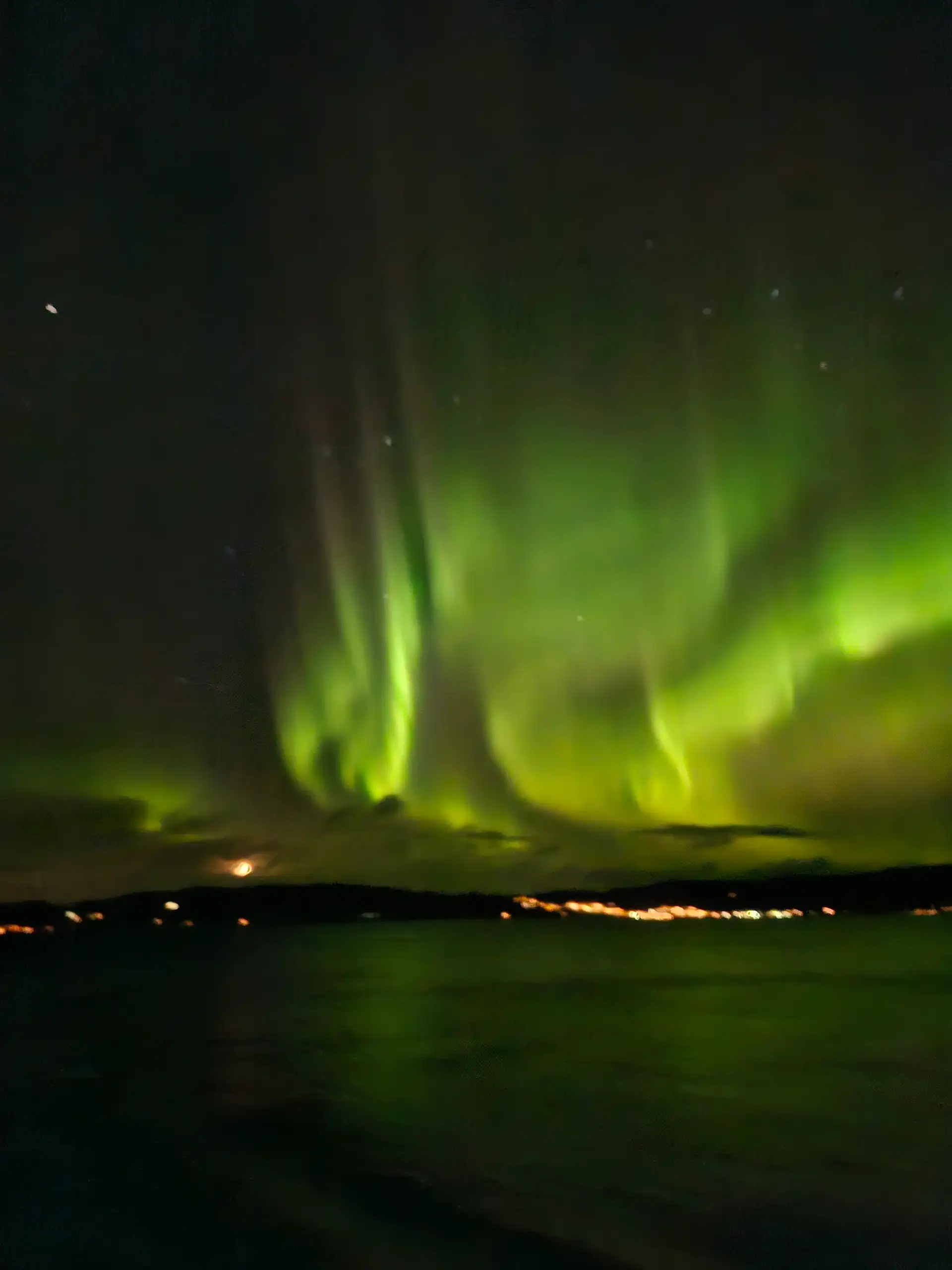 the-icing-on-the-cake-of-norway-by-rosemary-caldwell-ms-kong-herald-mar-23-2026-cameralla-1920