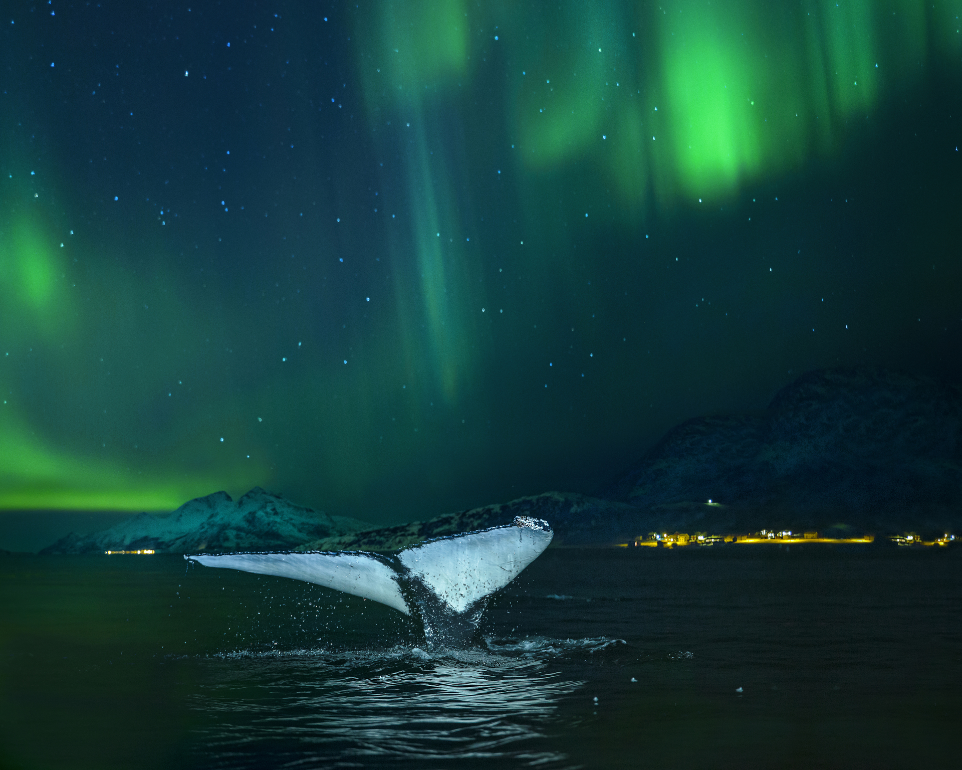Kval-i-nordlys-1-(Audun Rikardsen)-Topaz-Manipulert-Northern-Lights-Promise