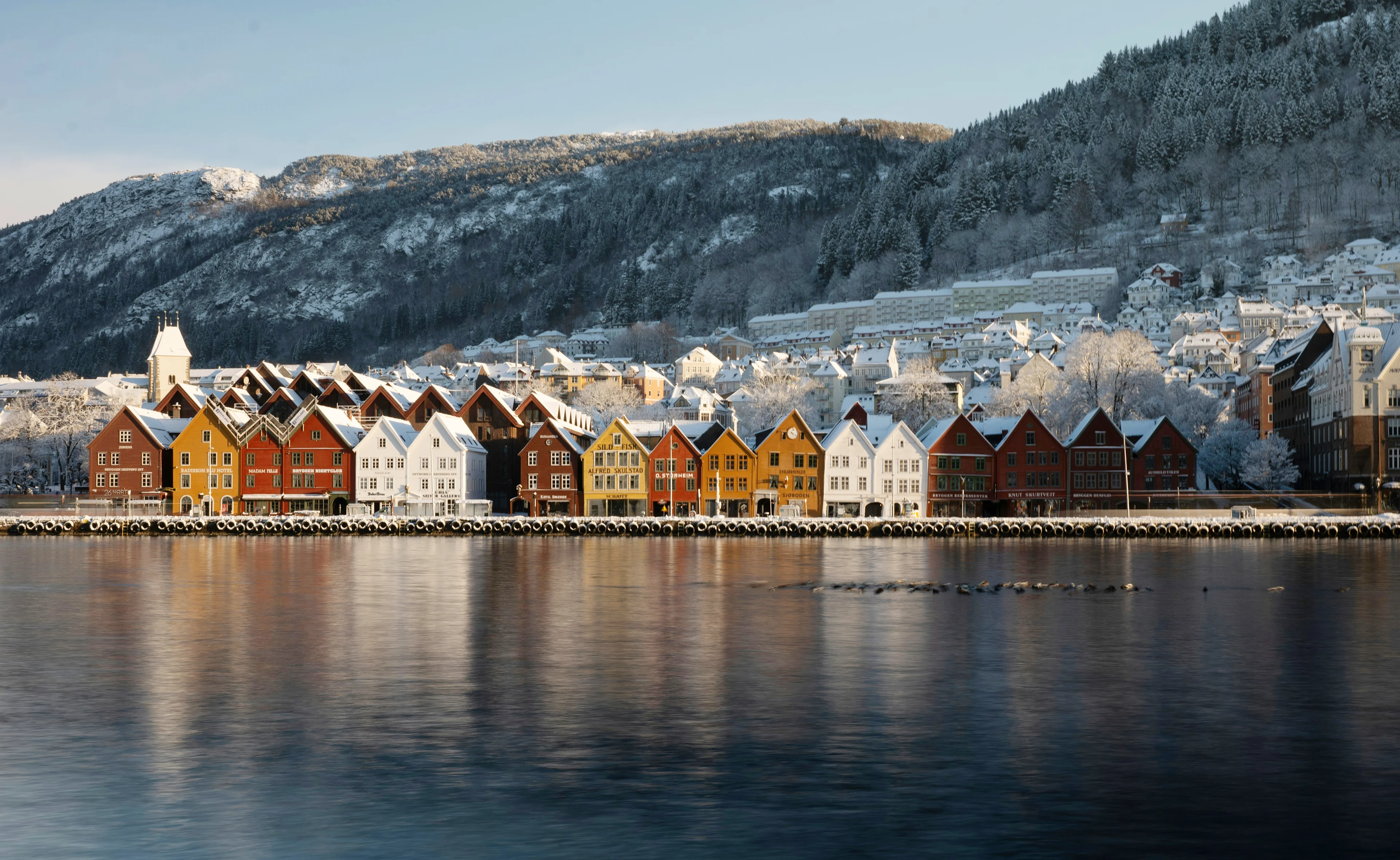 Bergen patrik-kovar-k qqH1w6UuY-unsplash EDIT