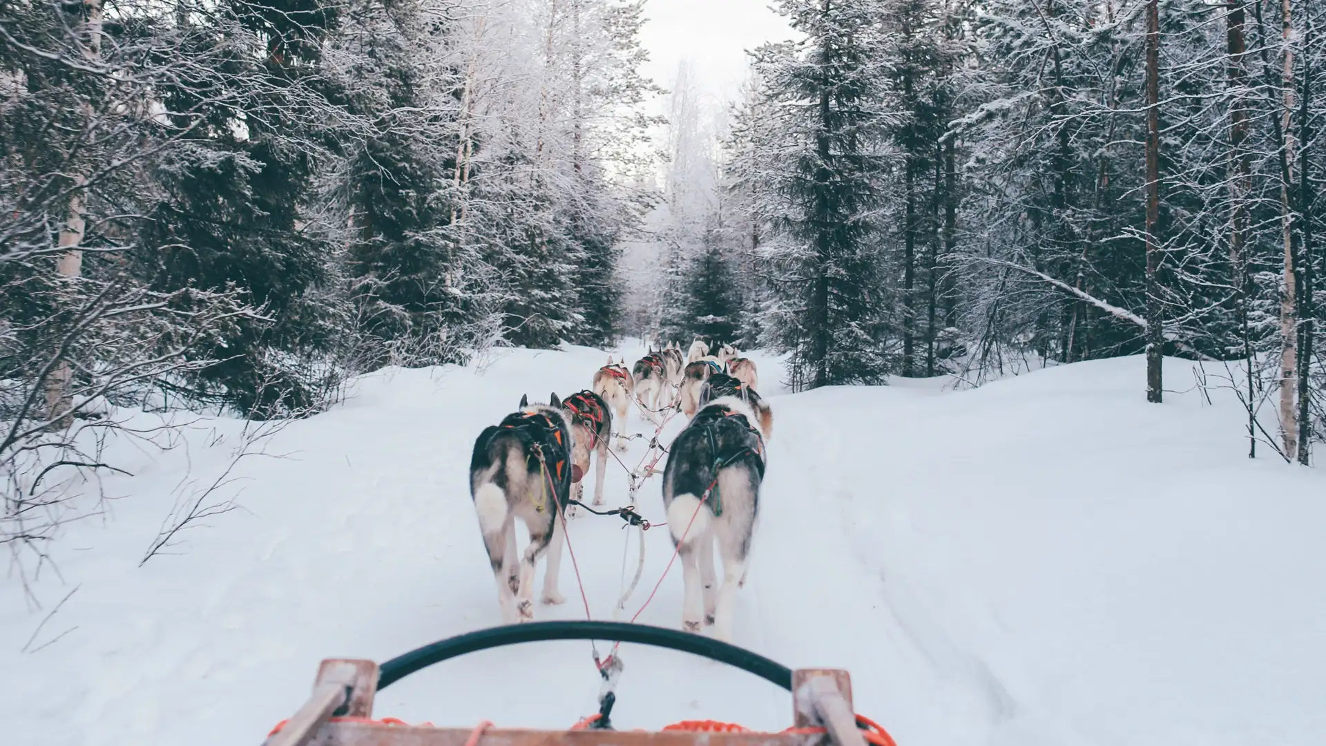 Rovaniemi