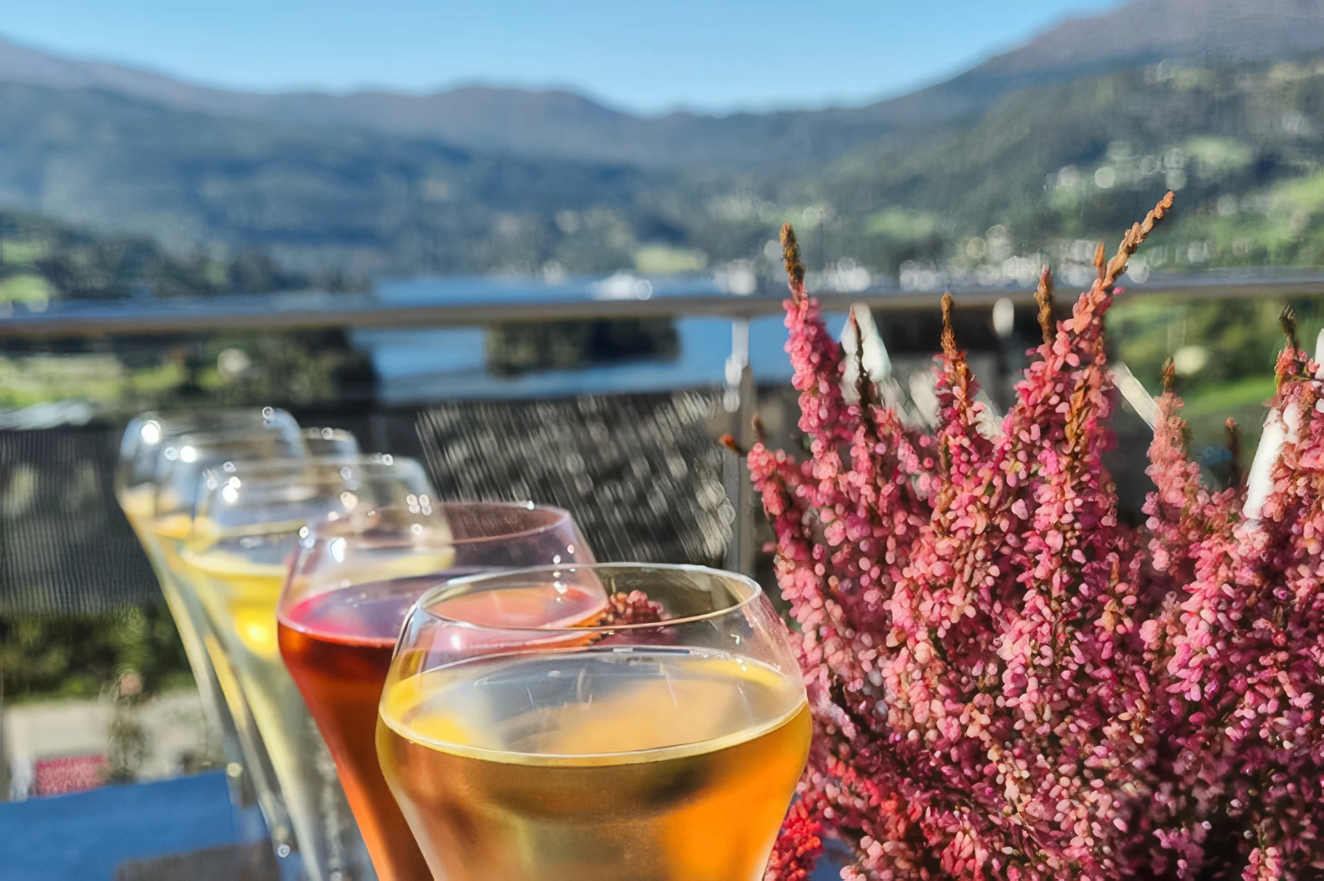 Cider tasting in Norway by Anne Hirth
