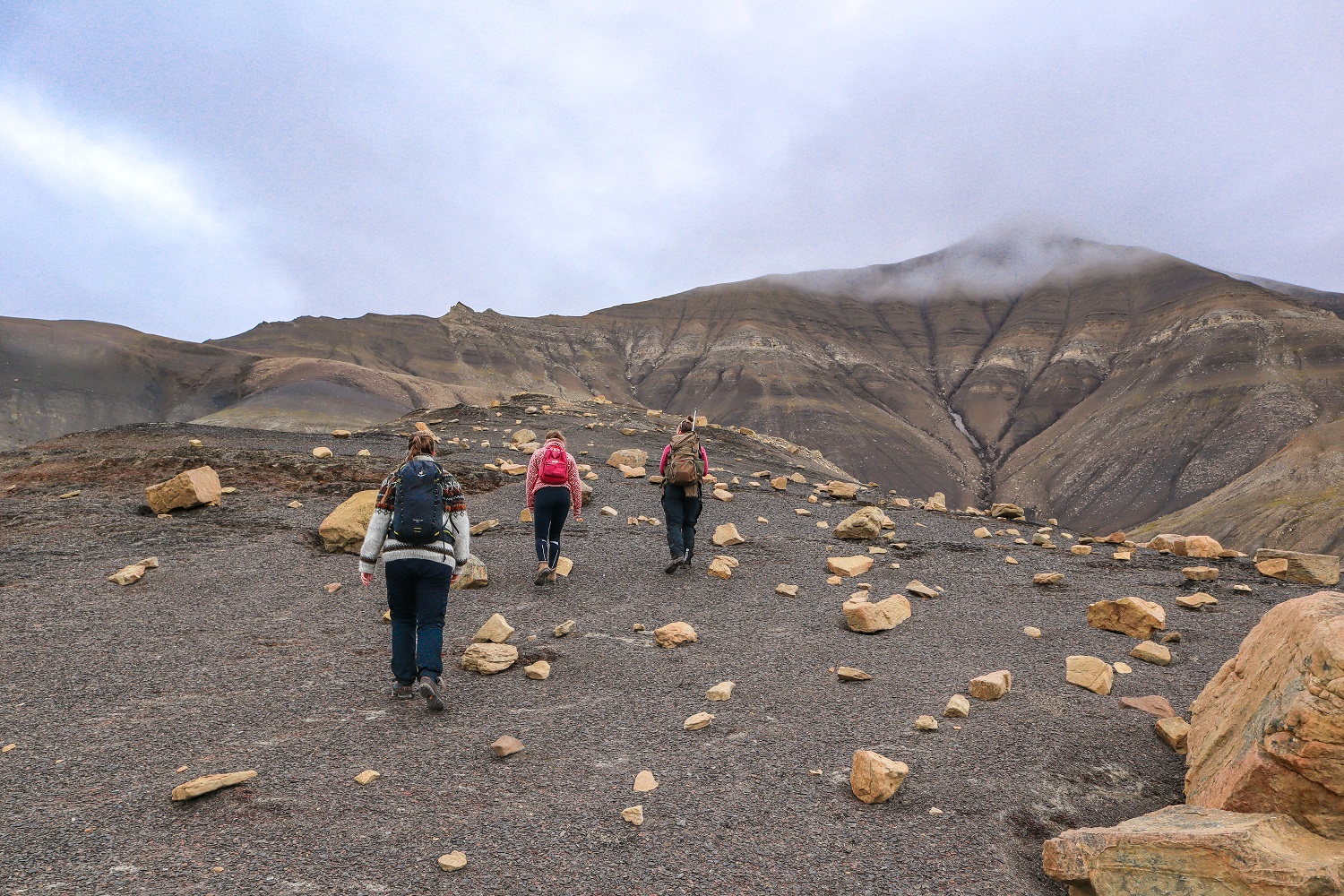 Fossil hunting at Deltaneset HGR 163067 Emilie Gerber Meier