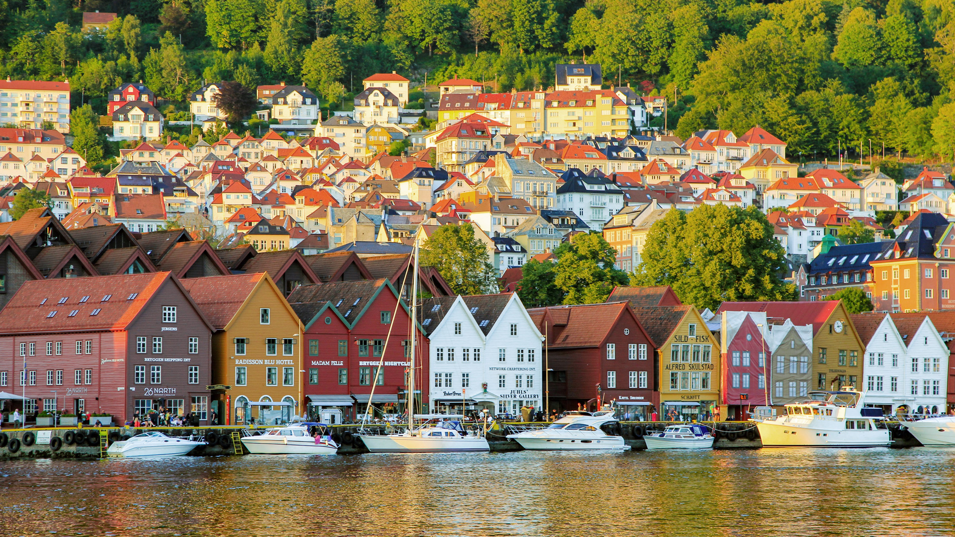 Bergen farewell 