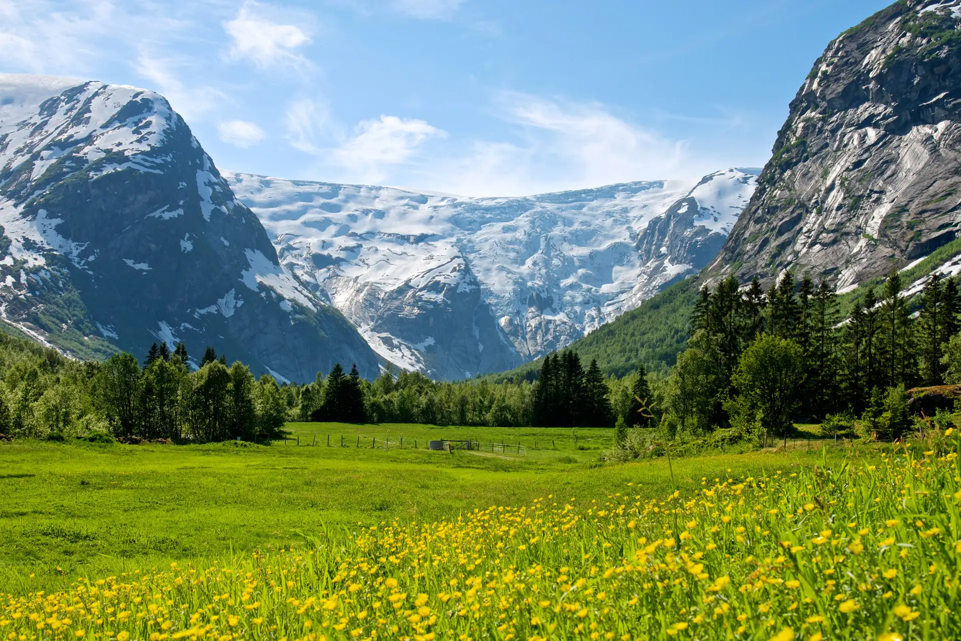 Entdecken Sie den Jostedalsbreen-Nationalpark, der während der Frühlingsblüte besonders schön ist.