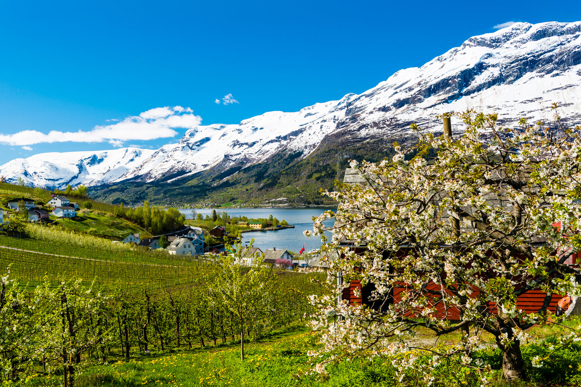The Inner Fjords Explorer