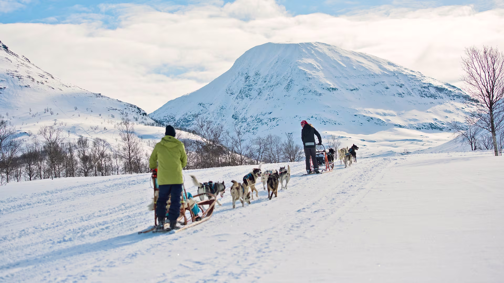 Tromso Norway Sledging