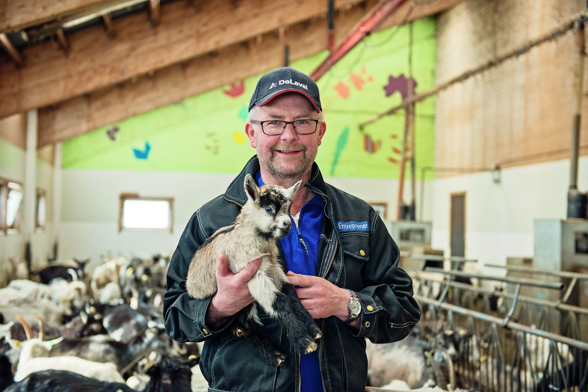 Knut Åland standing in his farm with one of his baby goats 