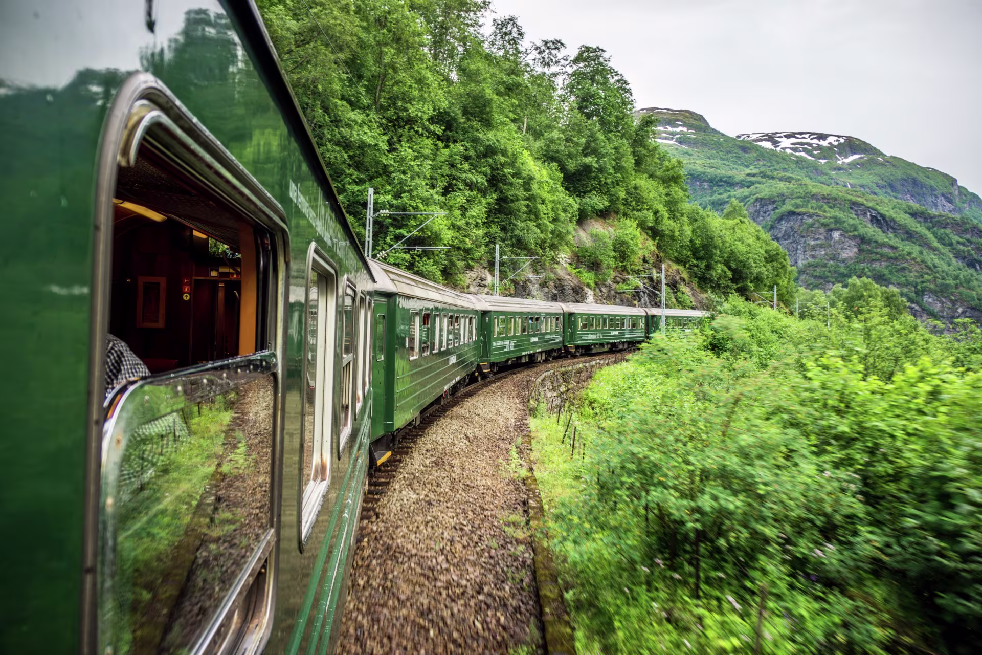 The famous Flåm train travelling through the greenery.