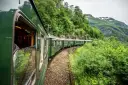 The famous Flåm train travelling through the greenery.