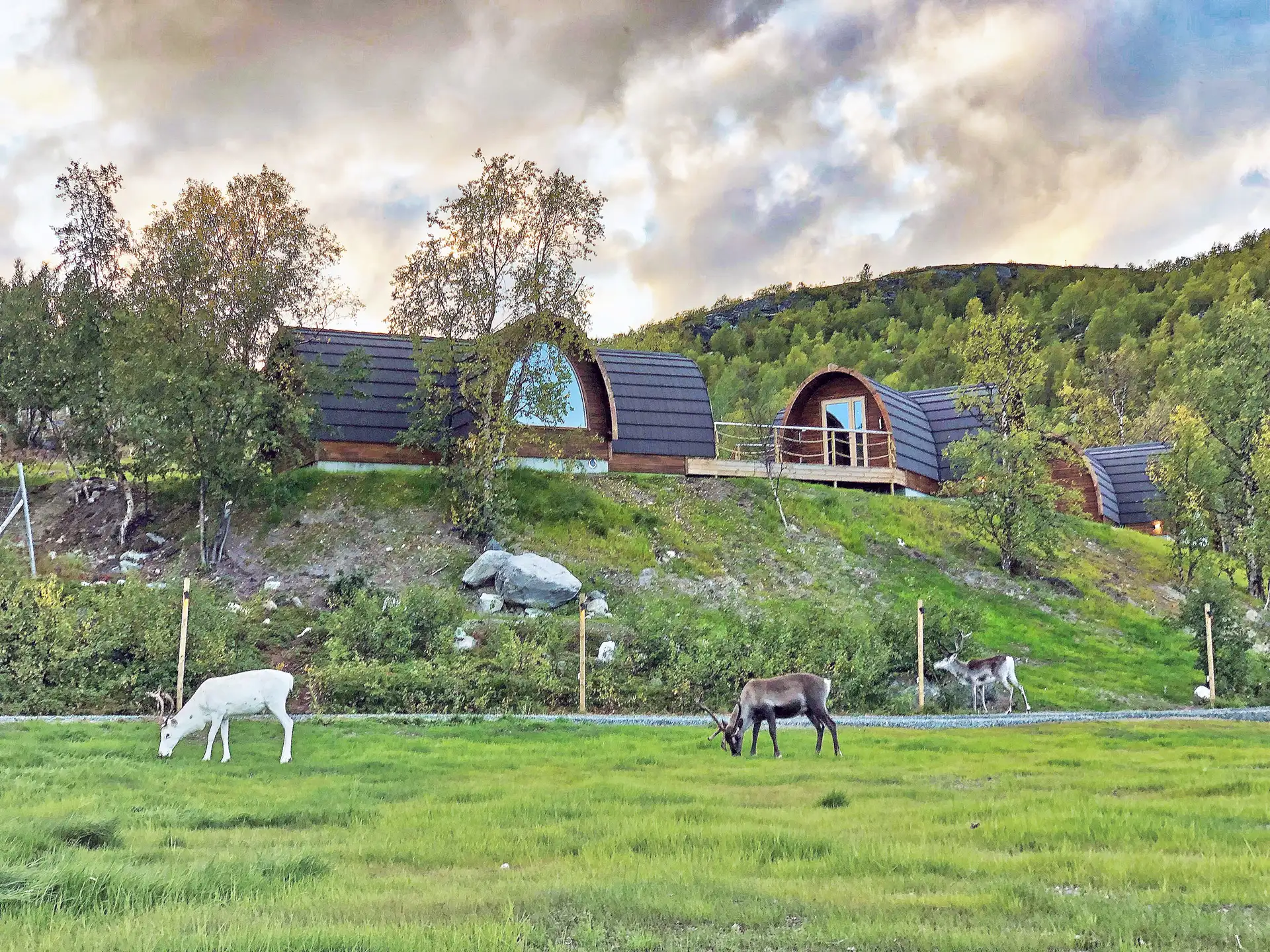 Overnight in a Gamme Cabin