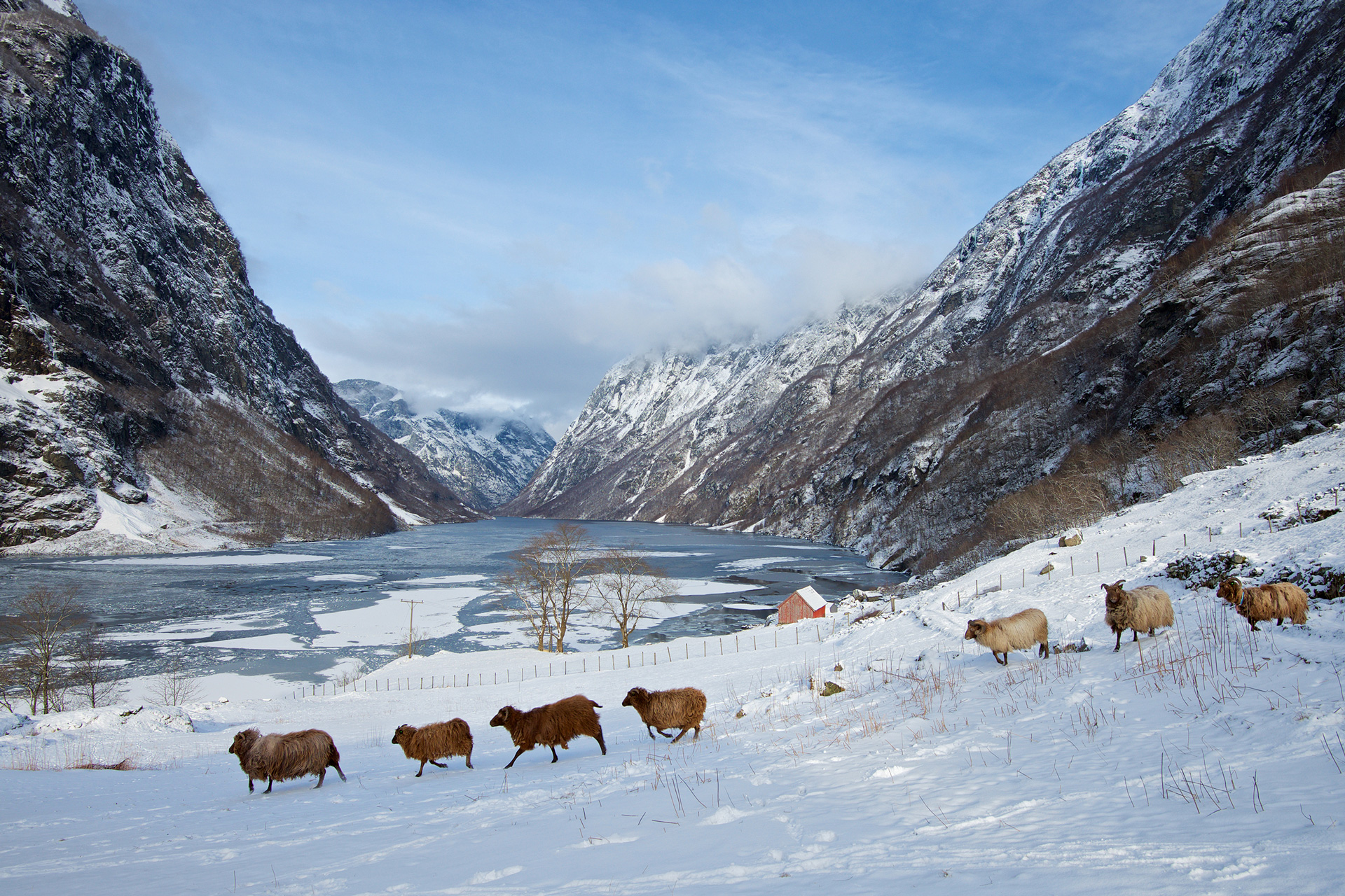 Follow the Northern Lights – Finland to Norway (Autumn 2027–Winter 2028)