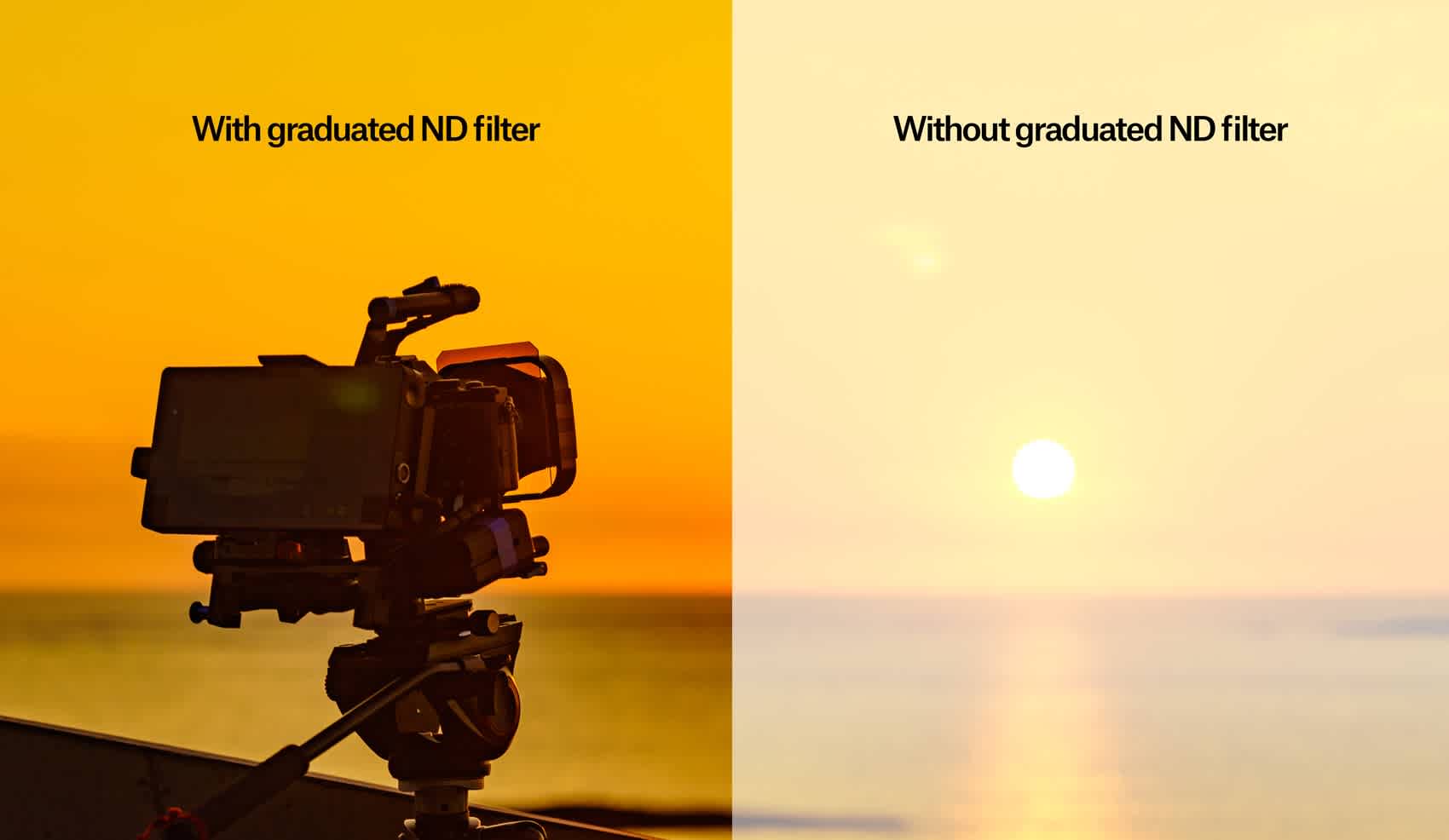 shutterstock_1976279792_filter
