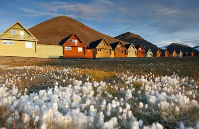 Die Spitzbergen-Linie inkl. Flug