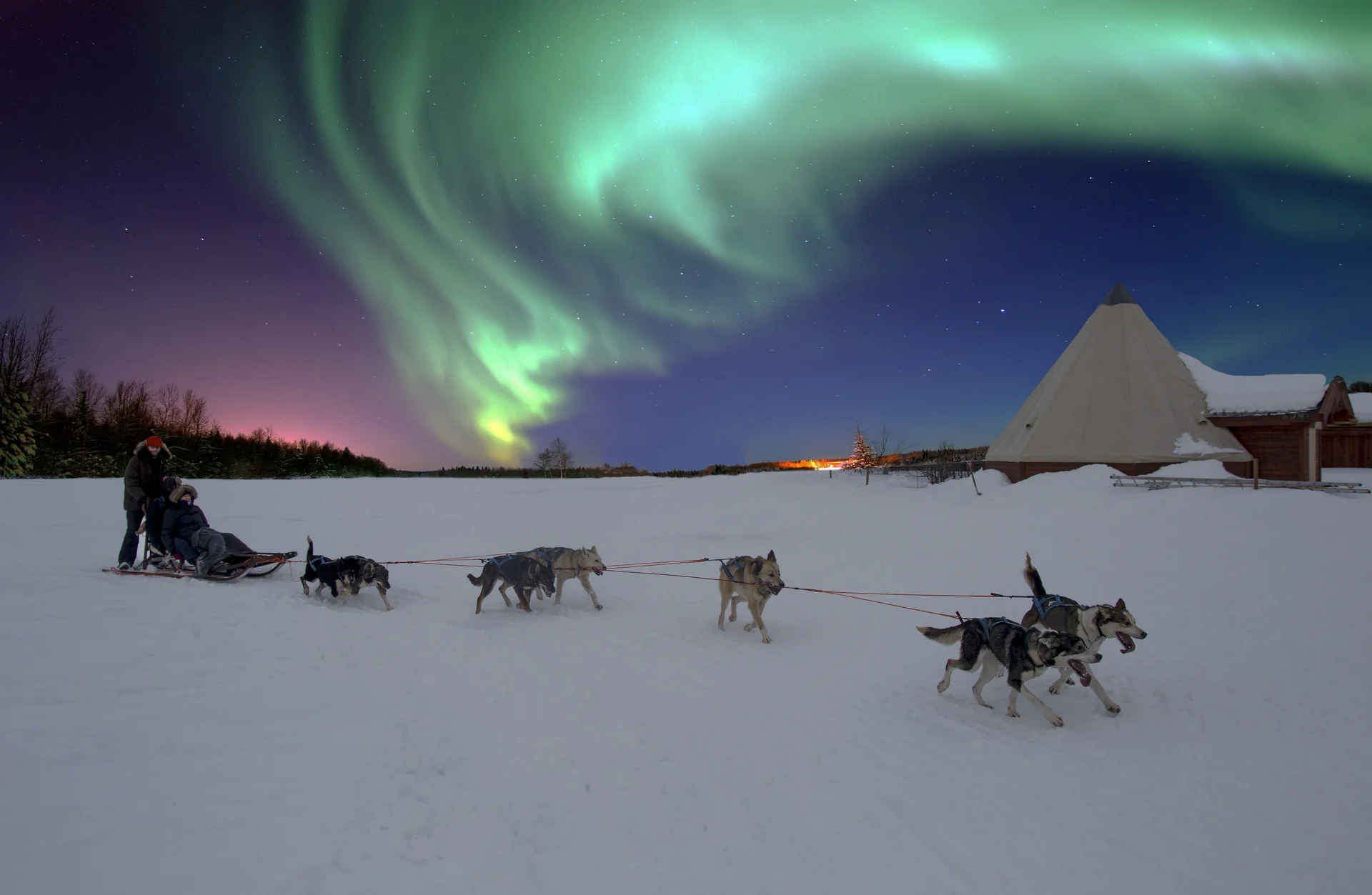 dog-sled-northern-lights-147092-Getty Images