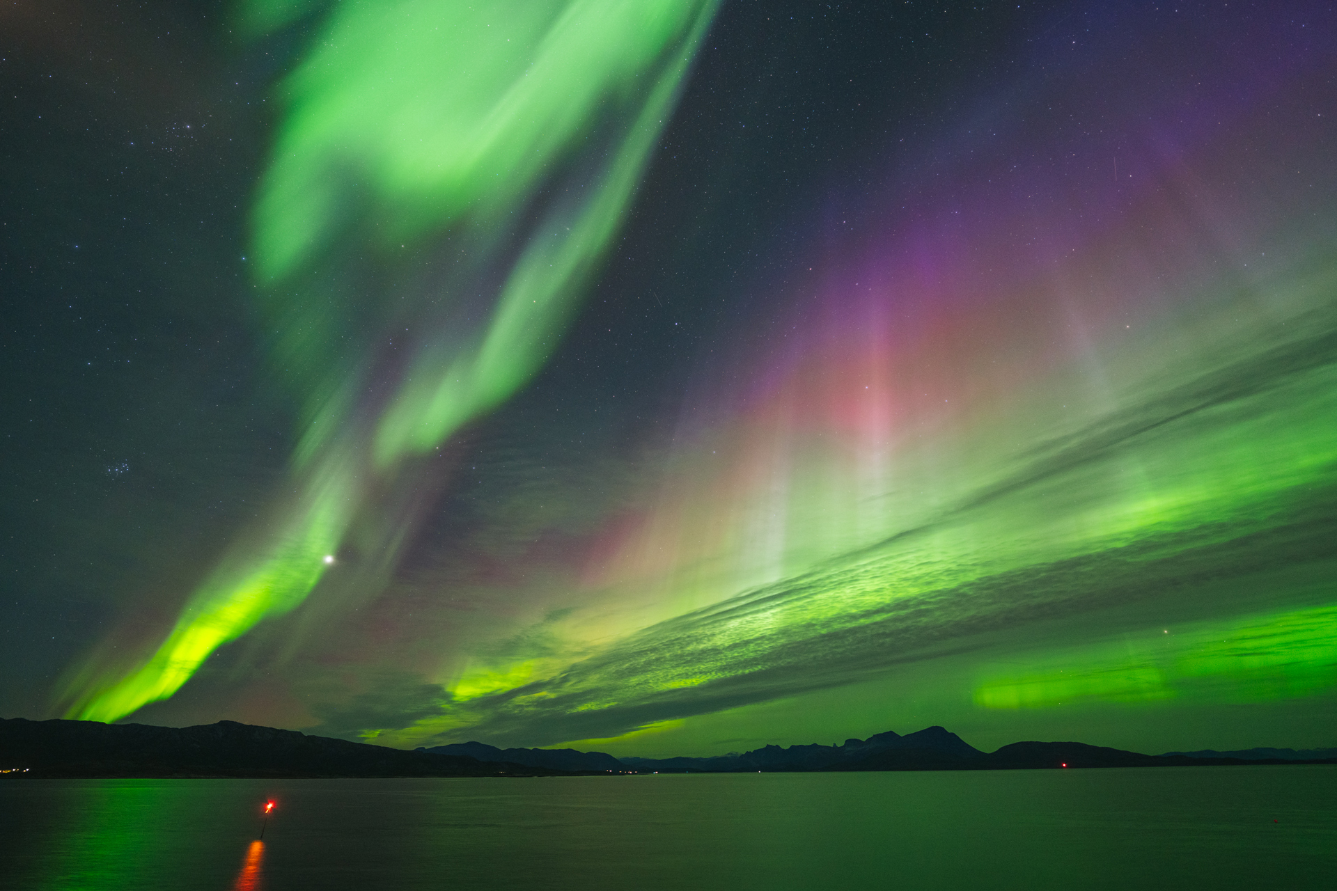 Suchen Sie das Nordlicht und genießen Sie vom Deck unseres Schiffes aus den klarsten Blick auf die norwegische Küste