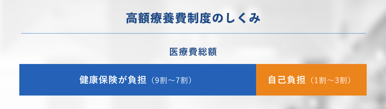 新領域 メディカル情報生命 東大院 解答例 2024〜2019年度 過去問解答