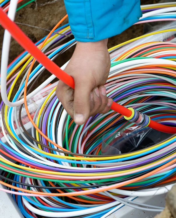 A coil of multi-coloured wires