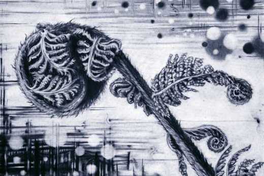 Original A2 charcoal drawing of tree fern frond.