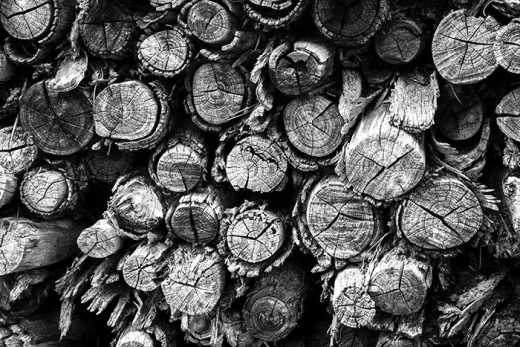 Photograph of stacked fire wood.