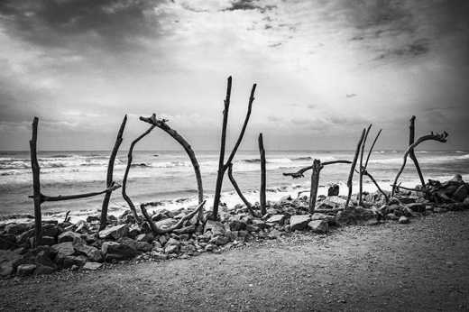 Photograph of driftwood letters on the beach.
