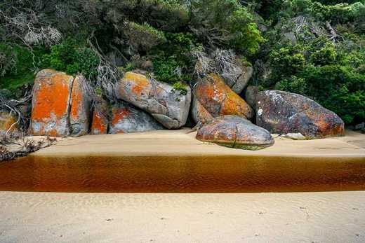 Photograph of the tea tree stained Tidal River carving its way through the beach past brightly colored granite boulders. 