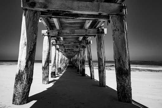 Photograph of the wooden pylons supporting Point Lonsdale Jetty as viewed from underneath the jetty.