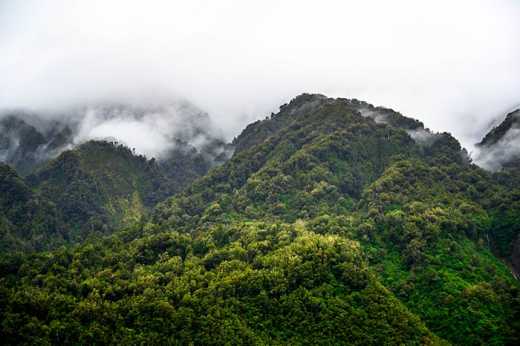 Photograph of rain forest covered mountains shrouded in cloud.