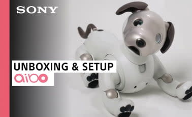 Sony aibo