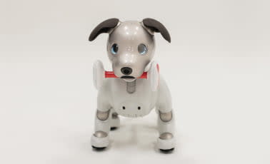 Sony Aibo, il cane robot in vendita da settembre in USA a 2899