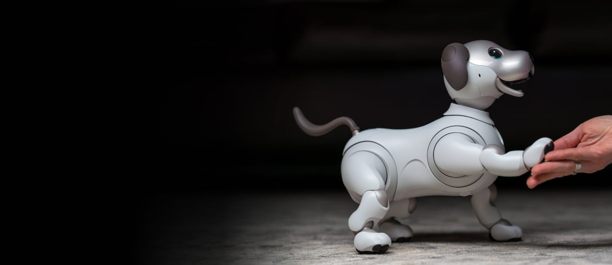 Sony aibo