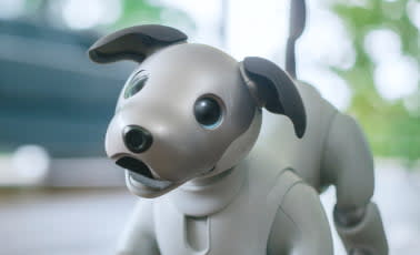 Sony aibo