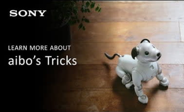 Sony aibo