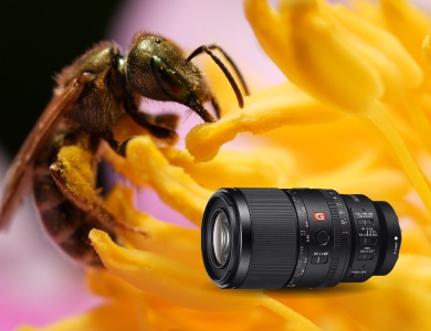 [ HP ][ Container ][ Hero ]  [image] 9/30 Get close with Sony’s first macro G Master lens Mobile