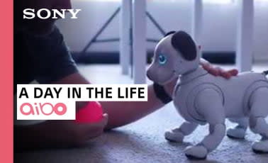 File:Sony, aibo (cane robot), anni 2000 (ist. biorobotica polo