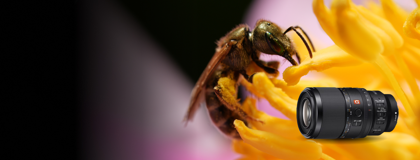 [ HP ][ Container ][ Hero ]  [image] 9/30 Get close with Sony’s first macro G Master lens Desktop