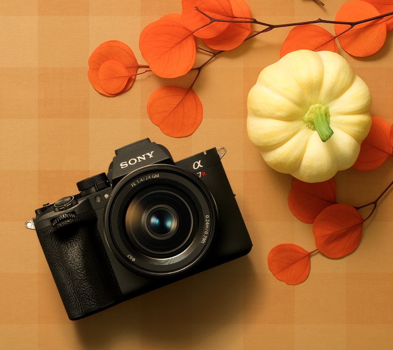 Camera & Lenses