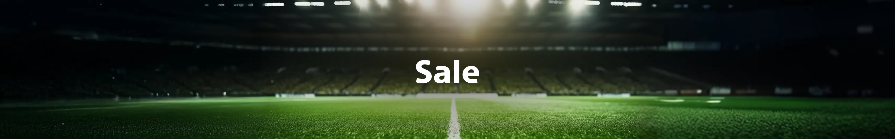 [Offers page] [Sale] [Banner] [CA-EN] [image] tablet