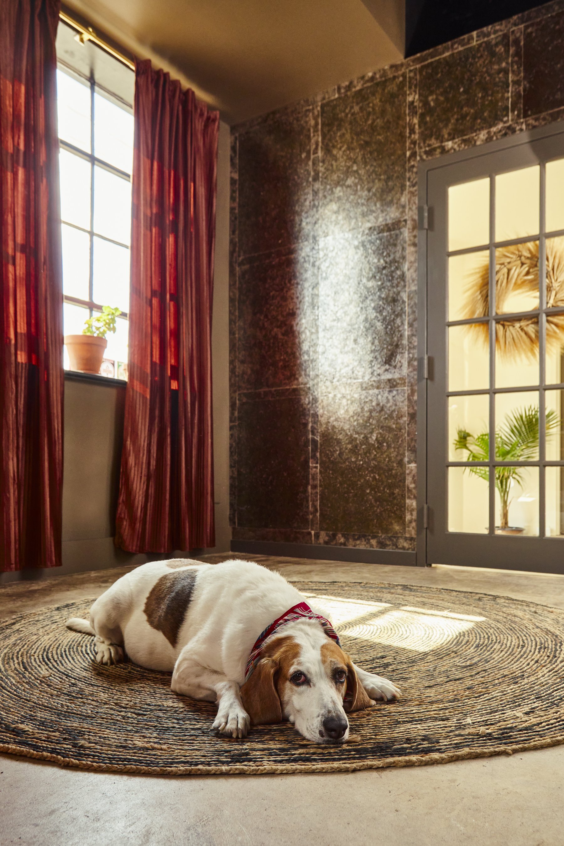 Lucy. Mica paneled wall.