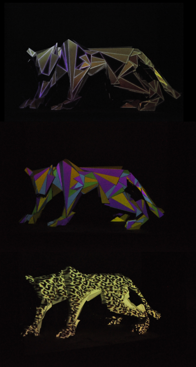Leopard Design
