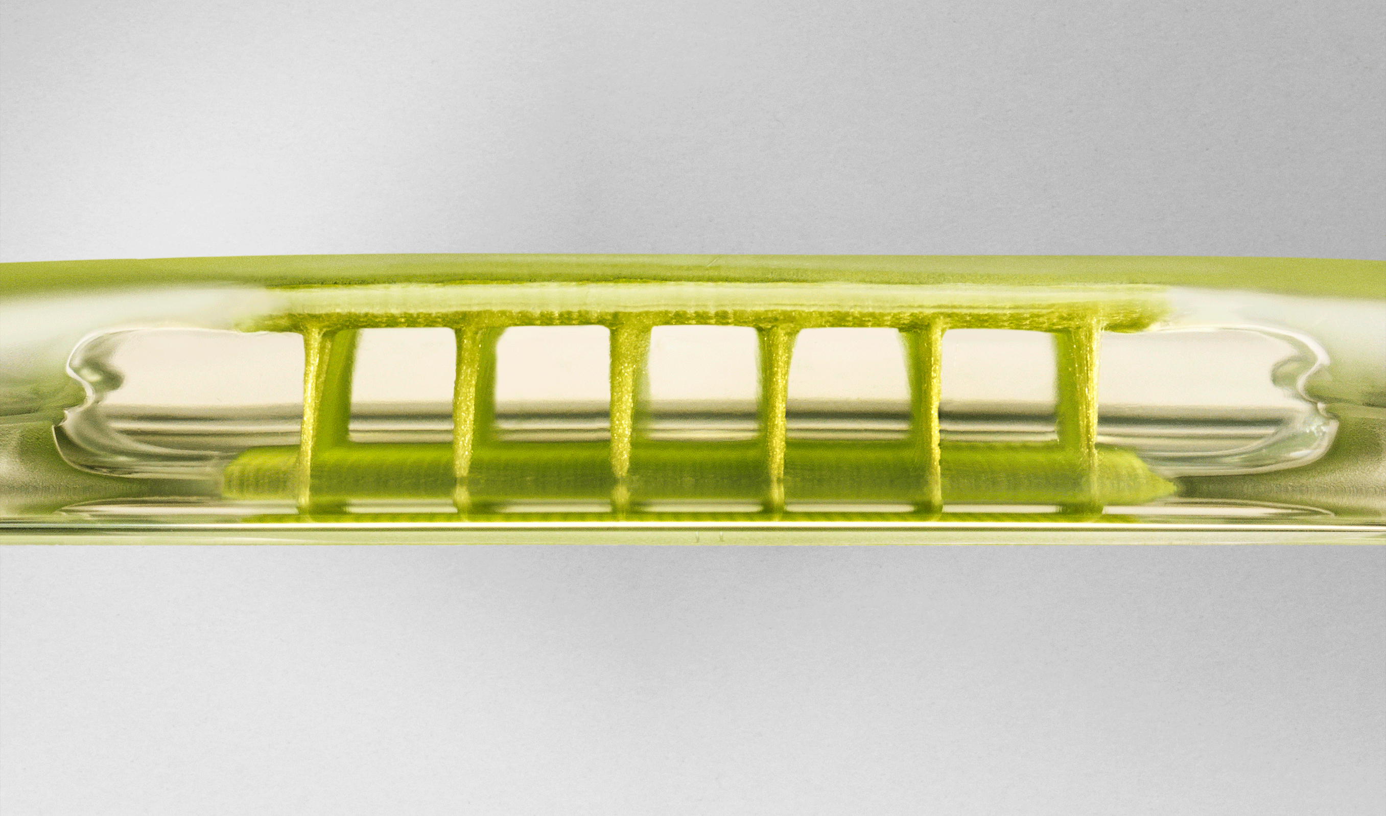 Nike_Zoom_Air_Airbag_Volt_V4b.gif