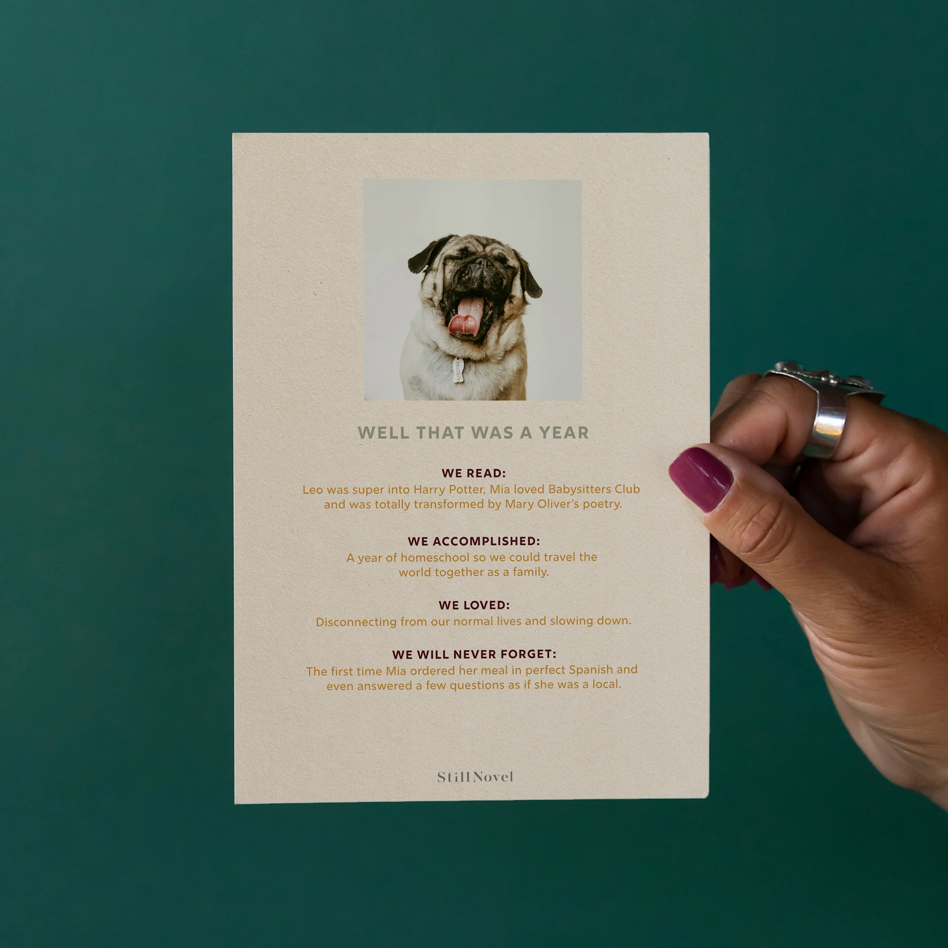 meadow holiday card gallery 3